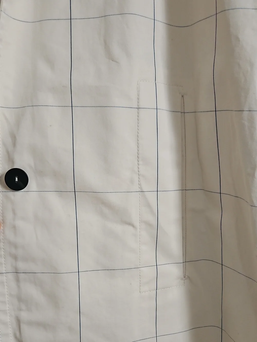 Zara Trench Coat